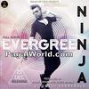 Evergreen - Ninja