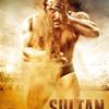 13 Sultan - Title Song (Salman Khan Version) 190Kbps