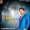 Tum Mile - Kumar Sanu 190Kbps