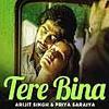 Tere Bina - Haseena Parkar (Arijit Singh) 320Kbps