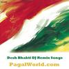 Rang De Basanti Remix - DJ Saif Sohel Brothers