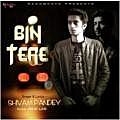 Bin Tere - Shivam Pandey 190Kbps