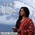 Tere Bina - Shreya Ghoshal 190Kbps