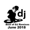 Tum Jaise Chutiyo Ka Sahara Remix - DJ Herin